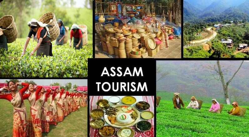 Assam Tourist Places Photos