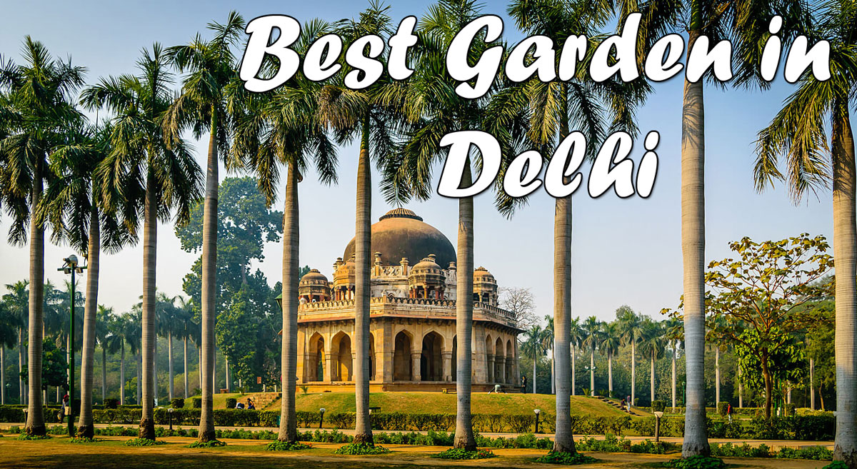 Explore the Best Garden Parks in Delhi! Enjoy Nature's Beauty
